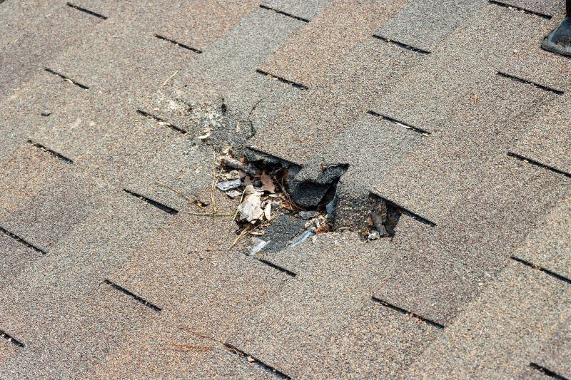 Metal Shingles Repair